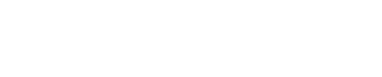 Trans.eu Road Transport Platform